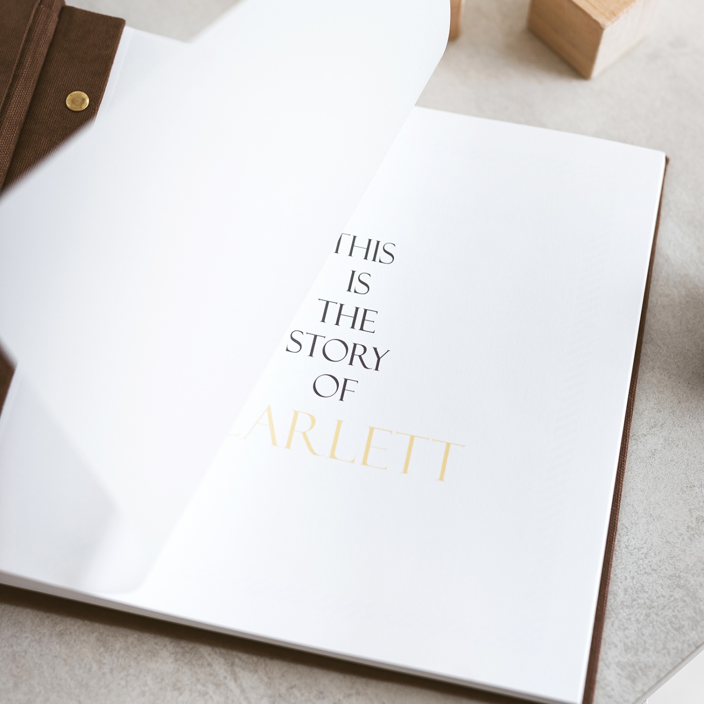 4876-thickbox_default