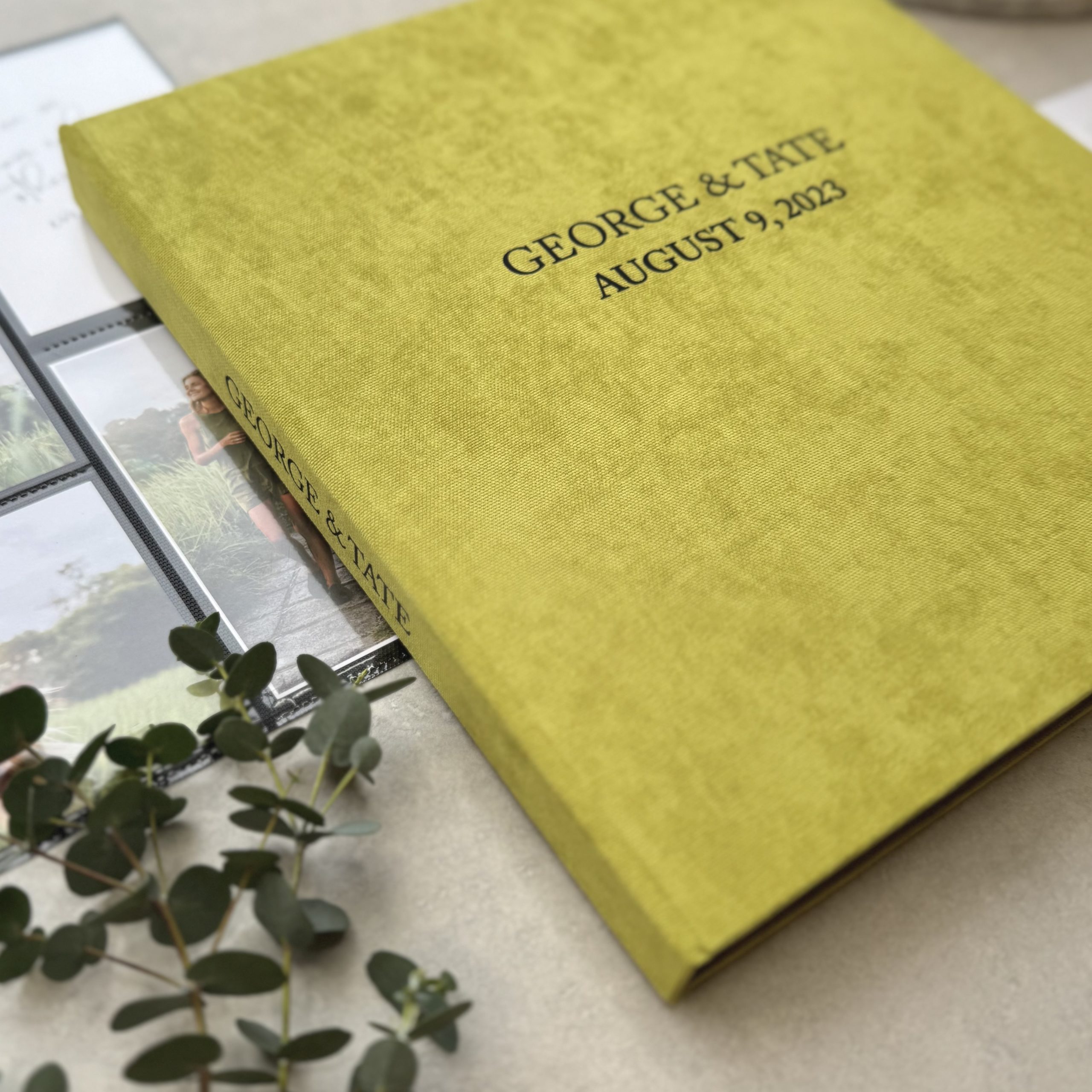 KRISTEN (PISTACHIO) 3